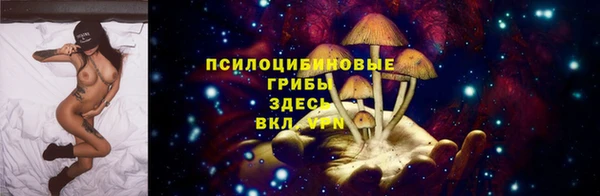 бошки Балахна