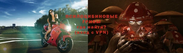 бошки Балахна