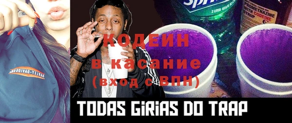 ГАЛЛЮЦИНОГЕННЫЕ ГРИБЫ Балабаново