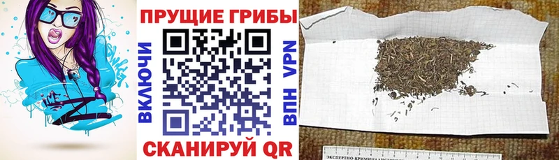 Псилоцибиновые грибы Magic Shrooms  Купить  Куйбышев 