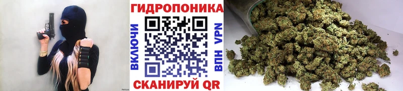 Купить где  Куйбышев  Конопля сатива 